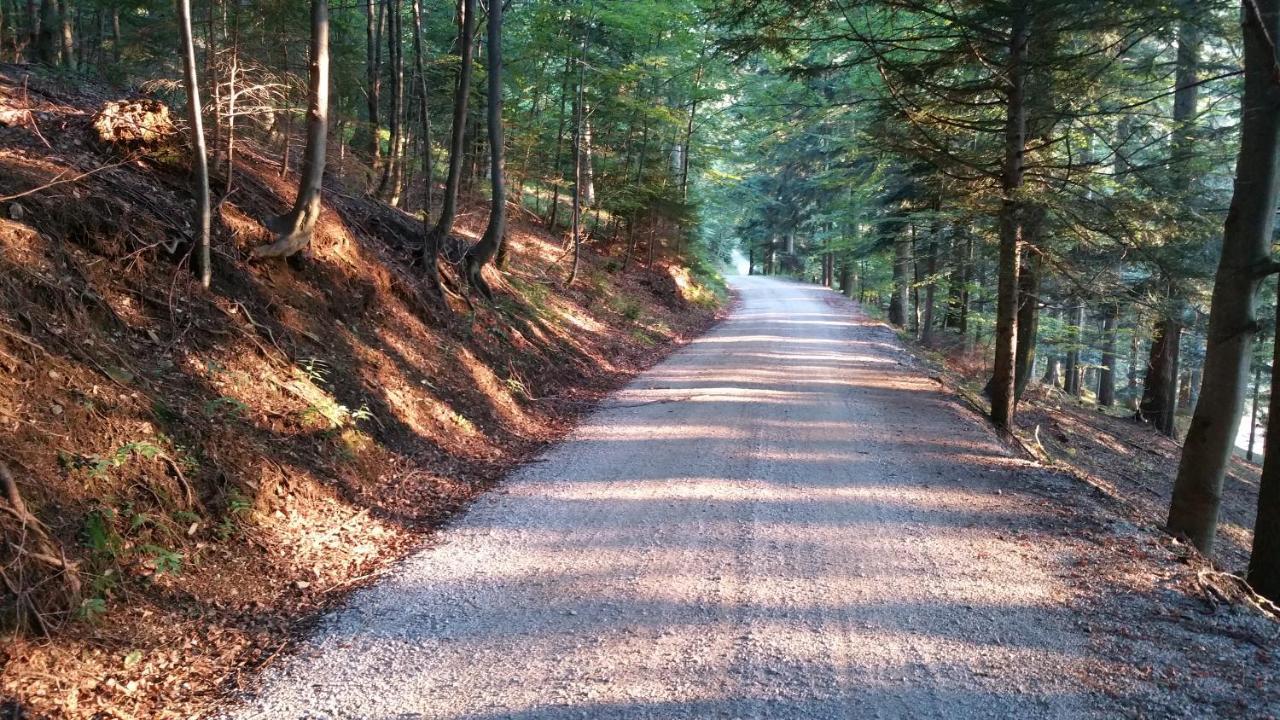 Mari 14 Διαμέρισμα Μαριμπόρ Εξωτερικό φωτογραφία